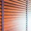 blinds-window